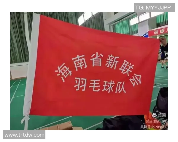 深入分析西安羽毛球队防反战术的优势与应用策略