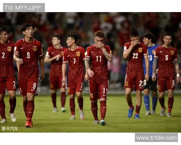 苏姓足球明星的辉煌历程与成就解析