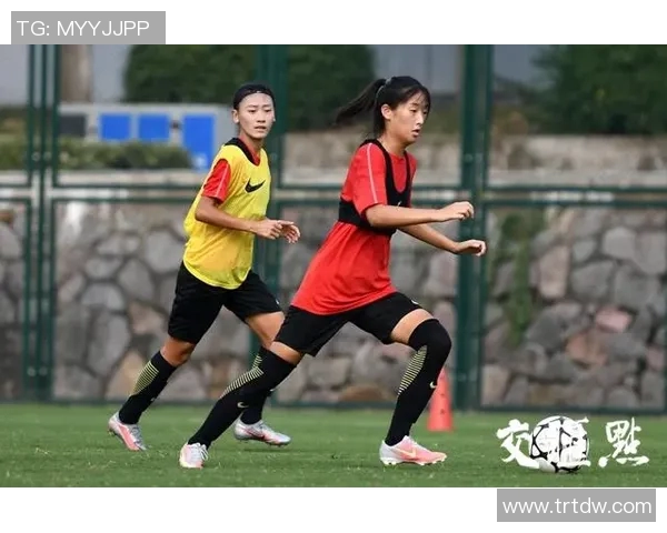 南京乒乓球队在城市联赛中的状态分析与表现评估